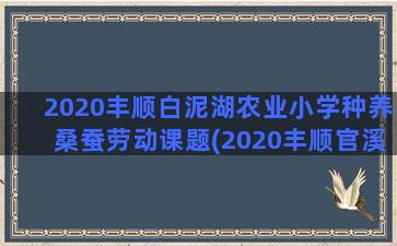 2020丰顺白泥湖农业小学种养桑蚕劳动课题(2020丰顺官溪演出)
