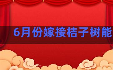 6月份嫁接桔子树能活吗