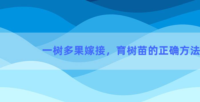 一树多果嫁接，育树苗的正确方法