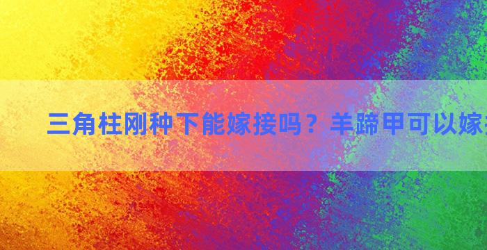 三角柱刚种下能嫁接吗？羊蹄甲可以嫁接什么树