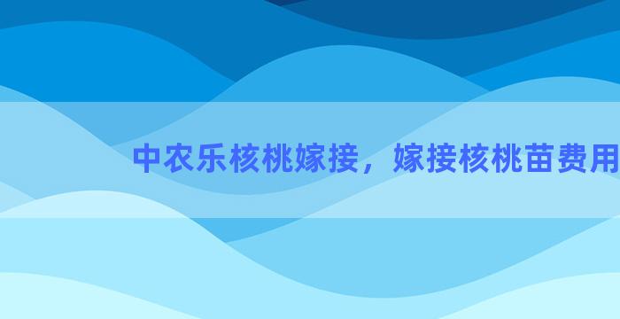 中农乐核桃嫁接，嫁接核桃苗费用