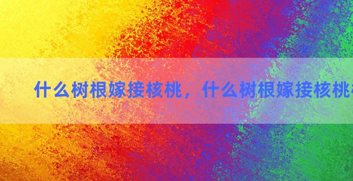 什么树根嫁接核桃，什么树根嫁接核桃树比较好