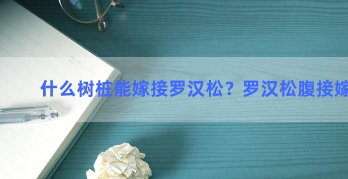 什么树桩能嫁接罗汉松？罗汉松腹接嫁接方法