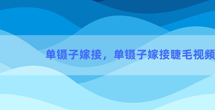 单镊子嫁接，单镊子嫁接睫毛视频