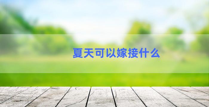 夏天可以嫁接什么