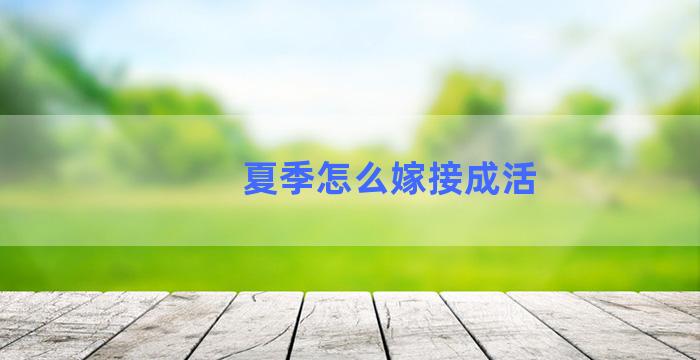 夏季怎么嫁接成活