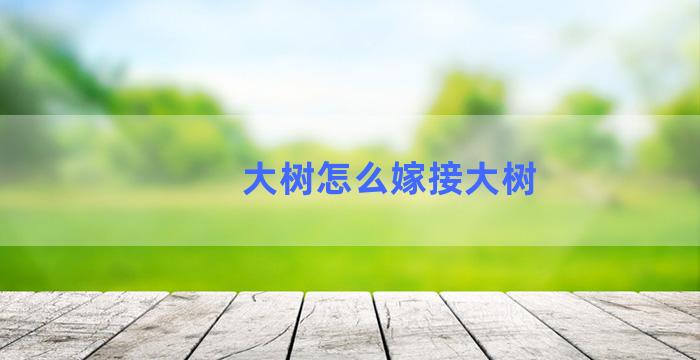 大树怎么嫁接大树