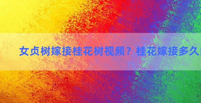 女贞树嫁接桂花树视频？桂花嫁接多久能出新芽