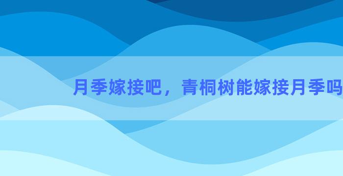 月季嫁接吧，青桐树能嫁接月季吗