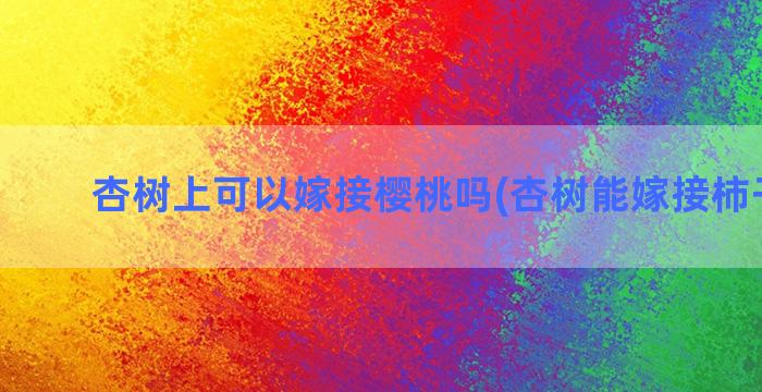 杏树上可以嫁接樱桃吗(杏树能嫁接柿子树吗)