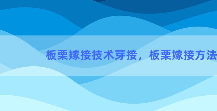 板栗嫁接技术芽接，板栗嫁接方法