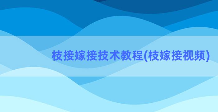 枝接嫁接技术教程(枝嫁接视频)