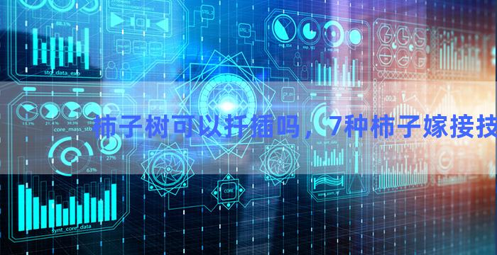 柿子树可以扦插吗，7种柿子嫁接技术