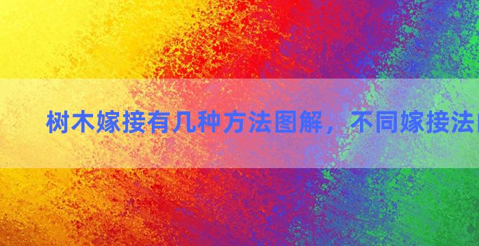 树木嫁接有几种方法图解，不同嫁接法的优缺点