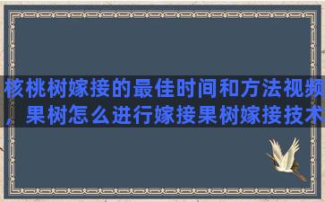 核桃树嫁接的最佳时间和方法视频，果树怎么进行嫁接果树嫁接技术视频,嫁接方法图解