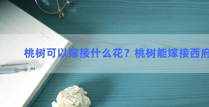 桃树可以嫁接什么花？桃树能嫁接西府海棠吗