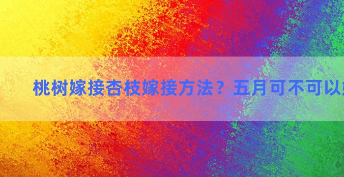 桃树嫁接杏枝嫁接方法？五月可不可以嫁接果苗