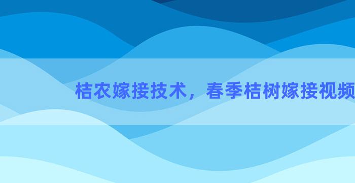 桔农嫁接技术，春季桔树嫁接视频