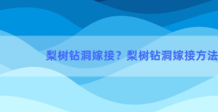 梨树钻洞嫁接？梨树钻洞嫁接方法