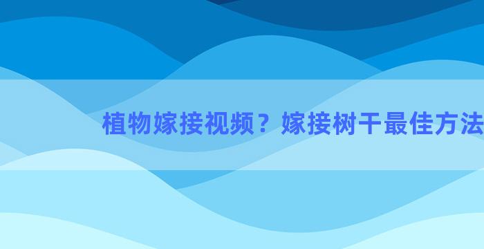 植物嫁接视频？嫁接树干最佳方法