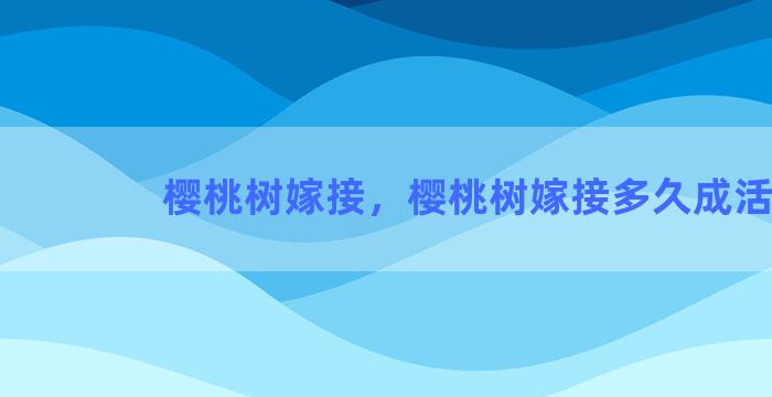 樱桃树嫁接，樱桃树嫁接多久成活