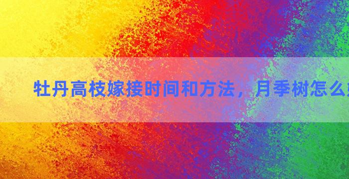 牡丹高枝嫁接时间和方法，月季树怎么嫁接最快