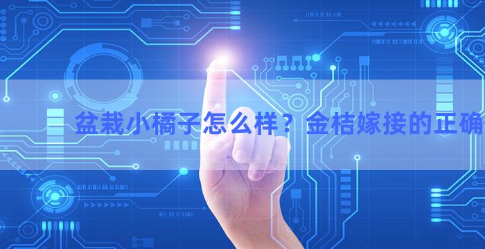 盆栽小橘子怎么样？金桔嫁接的正确方法