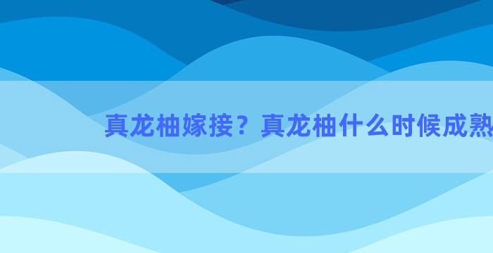 真龙柚嫁接？真龙柚什么时候成熟