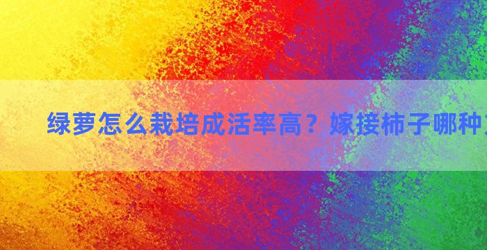 绿萝怎么栽培成活率高？嫁接柿子哪种方法最快