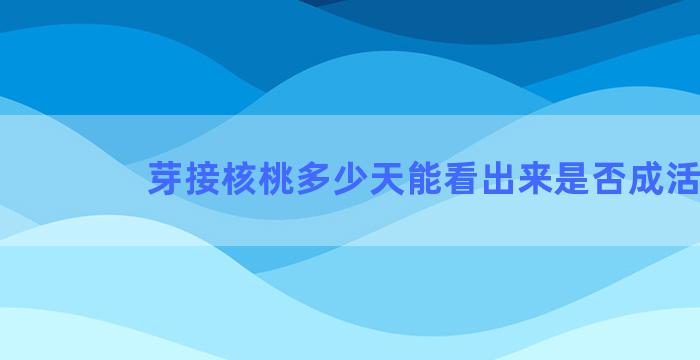 芽接核桃多少天能看出来是否成活