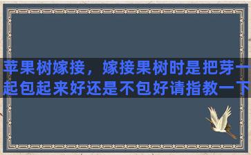 苹果树嫁接，嫁接果树时是把芽一起包起来好还是不包好请指教一下谢谢了