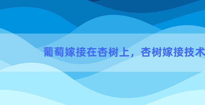 葡萄嫁接在杏树上，杏树嫁接技术