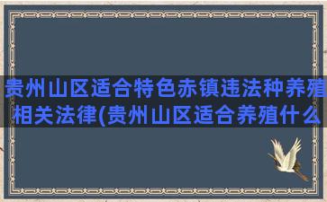 贵州山区适合特色赤镇违法种养殖相关法律(贵州山区适合养殖什么)