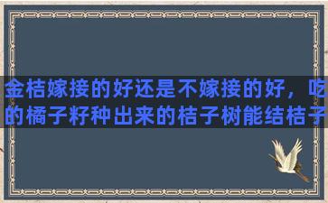 金桔嫁接的好还是不嫁接的好，吃的橘子籽种出来的桔子树能结桔子吗