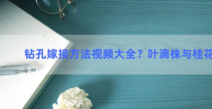 钻孔嫁接方法视频大全？叶滴株与桂花能靠接