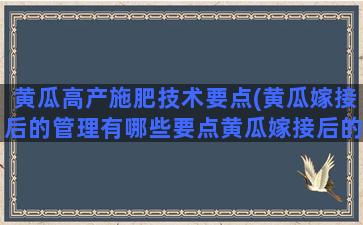 黄瓜高产施肥技术要点(黄瓜嫁接后的管理有哪些要点黄瓜嫁接后的管)