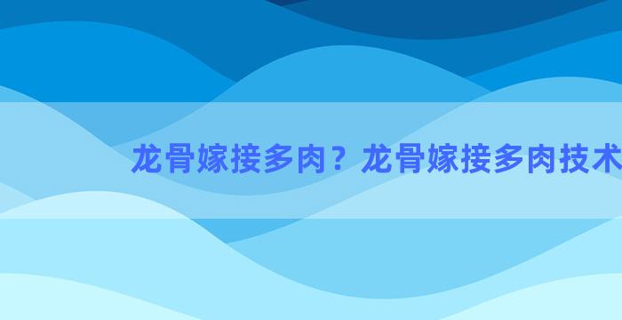 龙骨嫁接多肉？龙骨嫁接多肉技术